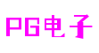 福建省泉州市电子PG软件科技有限公司